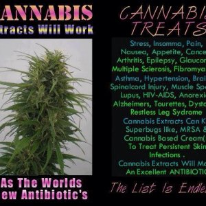 Cannabis Facts