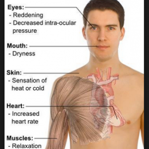 Cannabis Facts