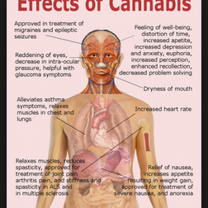 Cannabis Facts