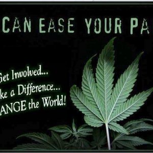 Cannabis Facts