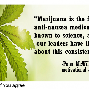 Cannabis Facts