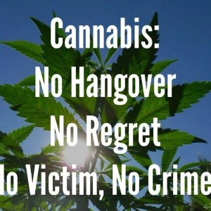 Cannabis Facts