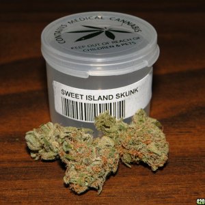 Sweet_Island_Skunk