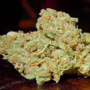 Doc's Jack Herer