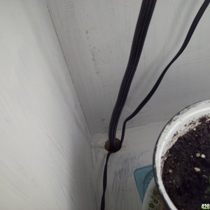 Grow cabinet ventilation update