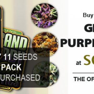 Seedsman GPD Promo