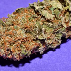 DSC_1760_nug