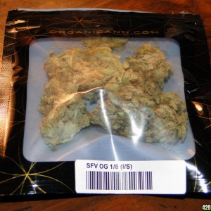 SFV_OG1