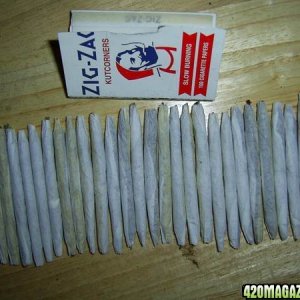 28joints