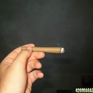 Blunt