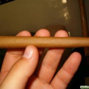 rolemodelsblunt