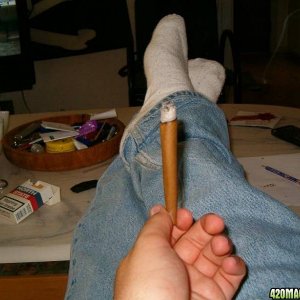 blunt6