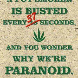 Cannabis Facts