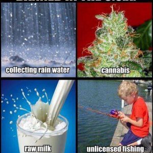 Cannabis Facts