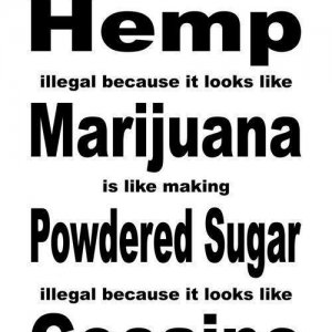 Cannabis Facts