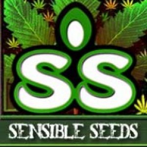 Sensible Seeds