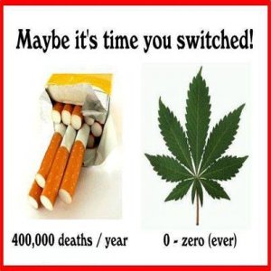 Cannabis Facts