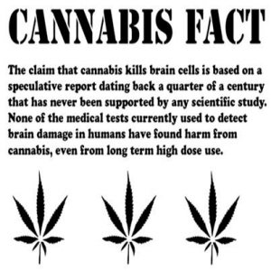 Cannabis Facts