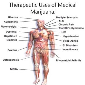 Cannabis Facts