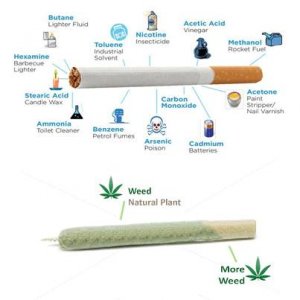 Cannabis Facts