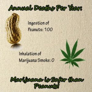 Cannabis Facts