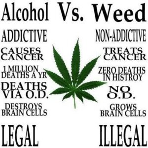 Cannabis Facts