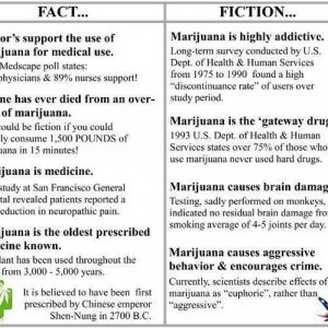 Cannabis Facts