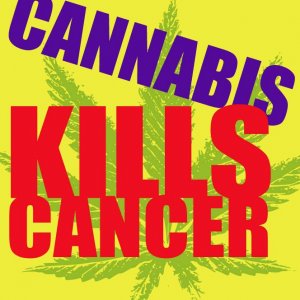 Cannabis Facts