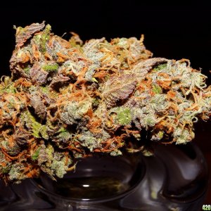 Super_Grape_Ape-15