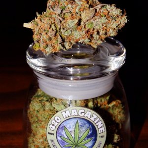 Super_Grape_Ape_420_Jar