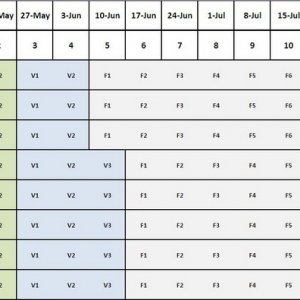 Seed Schedule - Actual