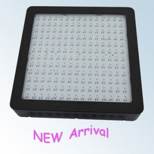 TOPLED Growlight