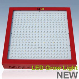 TOPLED Growlight