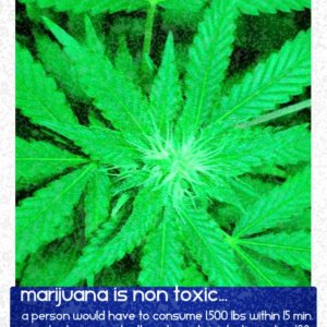 Cannabis Facts