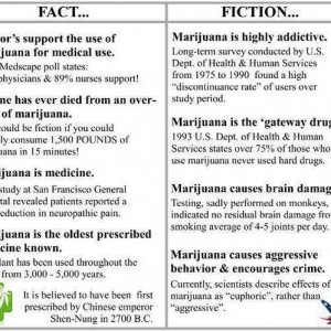 Cannabis Facts