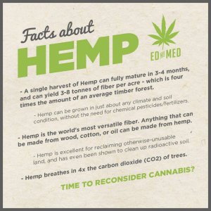 Cannabis Facts