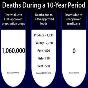 Cannabis Facts