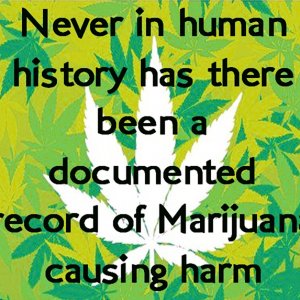 Cannabis Facts