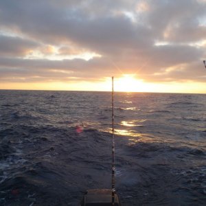 fishing-mexico-08-2008_8634_1_