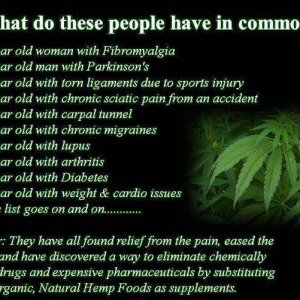 Cannabis Facts