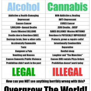 Cannabis Facts