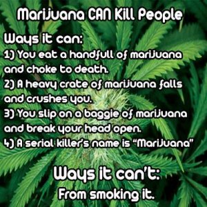 Cannabis Facts