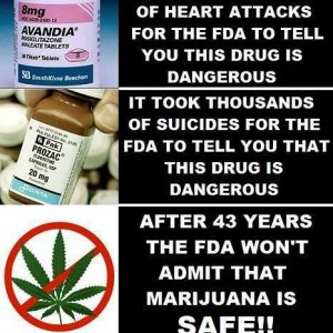 Cannabis Facts