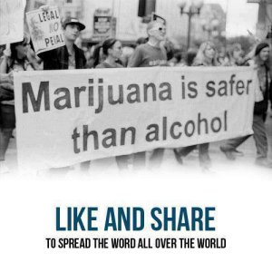 Cannabis Facts