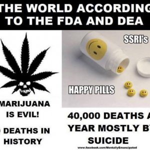 Cannabis Facts