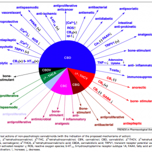 Nutrition Chart