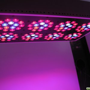 LED light