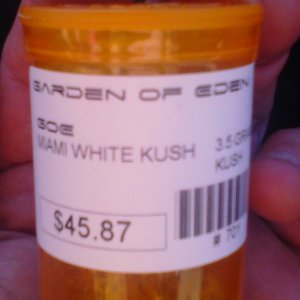 Miami White Kush