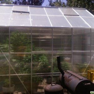 Greenhouse