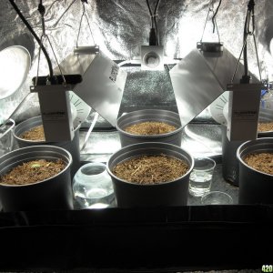 Grow Box Infrastucture